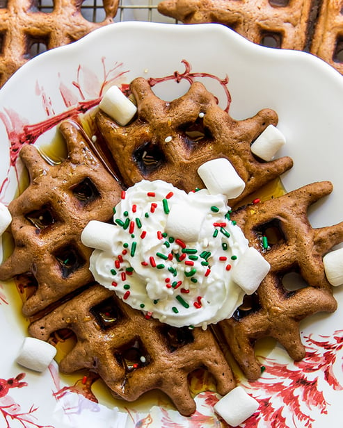 Hot Cocoa Waffles 1 (1 of 1)