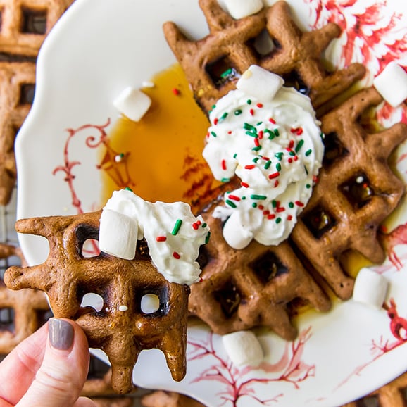 Hot Cocoa Waffles 2 (1 of 1)