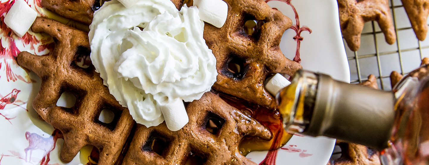 Hot Cocoa Waffles 3 (1 of 1)cover